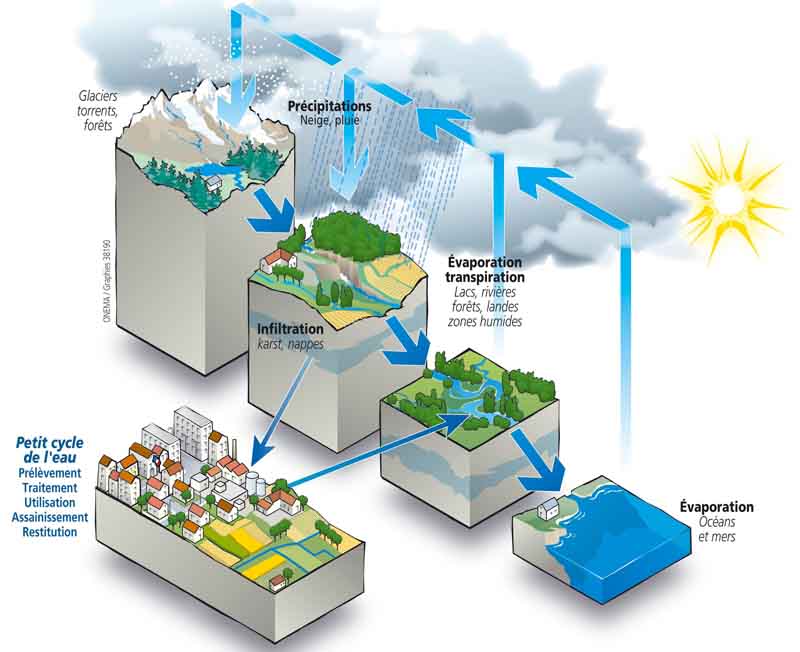 Cycle de l'eau